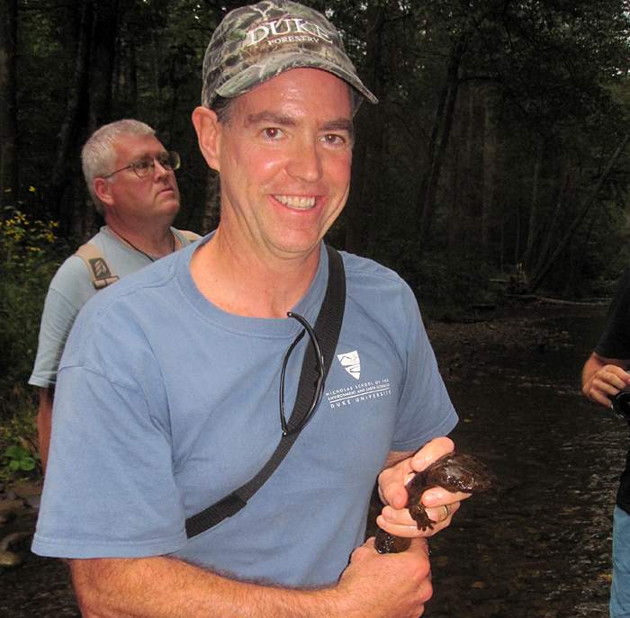 Hellbender (Cryptobranchus alleganiensis)