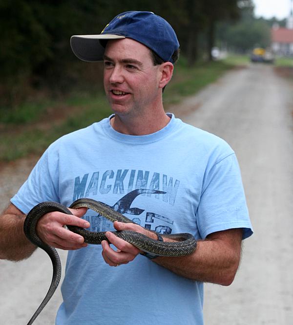 Rat Snake (Elaphe obsoleta)