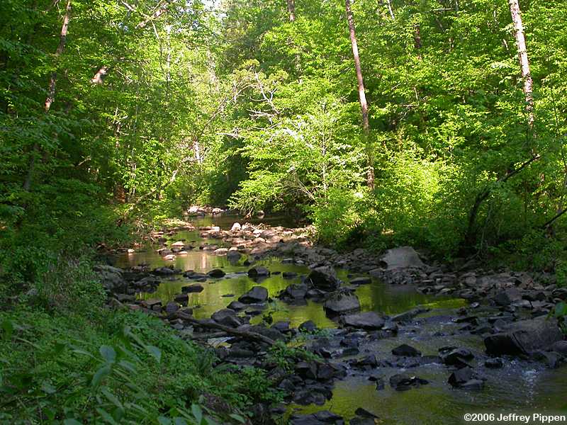 New Hope Creek, Duke Forest