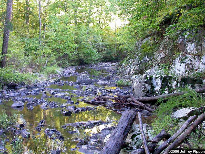 New Hope Creek, Duke Forest